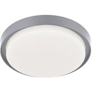 Outdoor Ceiling Lights