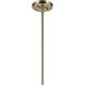 Laria 1 Light Champagne Bronze Pendant Ceiling Light in Opal