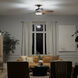 Renew Select 52 inch Oil Brushed Bronze with Walnut Blades Ceiling Fan