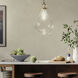 Laria 1 Light Champagne Bronze Pendant Ceiling Light in Clear