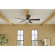 Lucian 60 inch Polished Nickel with Black/Silver Blades Ceiling Fan