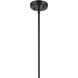 Everly 1 Light Black Pendant Ceiling Light in Clear Seeded
