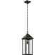 Prin 1 Light 9 inch Olde Bronze Outdoor Hanging Pendant