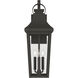 Cleary 3 Light 30 inch Olde Bronze Outdoor Wall Light
