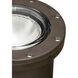 Independence 120 75.00 watt Architectural Bronze Landscape 120V In-Ground