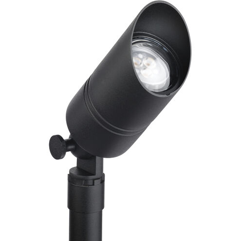 Independence 12 AC 35 watt Black Brass Accent Fixture
