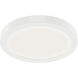 Ara White Downlight