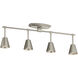 Sylvia 4 Light 120 Satin Nickel Rail Light Ceiling Light