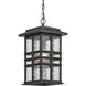 Beacon Square 1 Light 9.5 inch Textured Black Outdoor Hanging Pendant