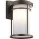 Toman 1 Light 14 inch Olde Bronze Outdoor Wall in Incandescent, Medium