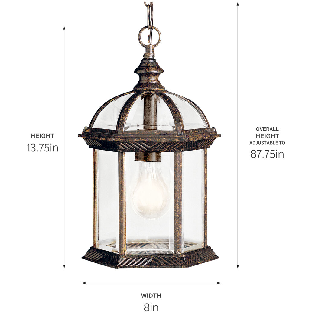 Barrie 1 Light 8 inch Tannery Bronze Outdoor Hanging Pendant in Incandescent