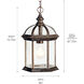 Barrie 1 Light 8 inch Tannery Bronze Outdoor Hanging Pendant in Incandescent