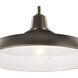 Pier 1 Light 17 inch Olde Bronze Pendant/Semi Flush Ceiling Light