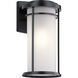 Toman LED 20 inch Black Outdoor Wall, X-Large