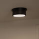 Serca 2 Light 14.25 inch Black Flush Mount Ceiling Light