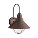 Seaside 1 Light 14 inch Olde Bronze Outdoor Wall, X-Large