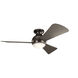 Sola 44.00 inch Indoor Ceiling Fan