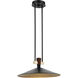 Tenon LED Black Pendant Ceiling Light