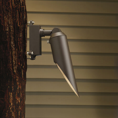 Independence 12 50.00 watt Textured Architectural Bronze Landscape 12V Downlight in Heat Resistant Clear Flat Glass
