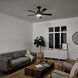 Colerne 52 inch Distressed Black with Auburn Stained Blades Ceiling Fan