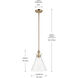 Laria 1 Light Champagne Bronze Pendant Ceiling Light in Clear