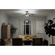 Renew Select 52 inch Oil Brushed Bronze with Walnut Blades Ceiling Fan