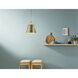 Etcher 1 Light Champagne Bronze Pendant Ceiling Light