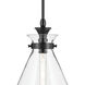 Laria 1 Light Black Pendant Ceiling Light in Clear
