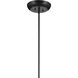 Moraine LED Black Chandelier Ceiling Light