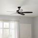 Renew 52 inch Satin Black Ceiling Fan