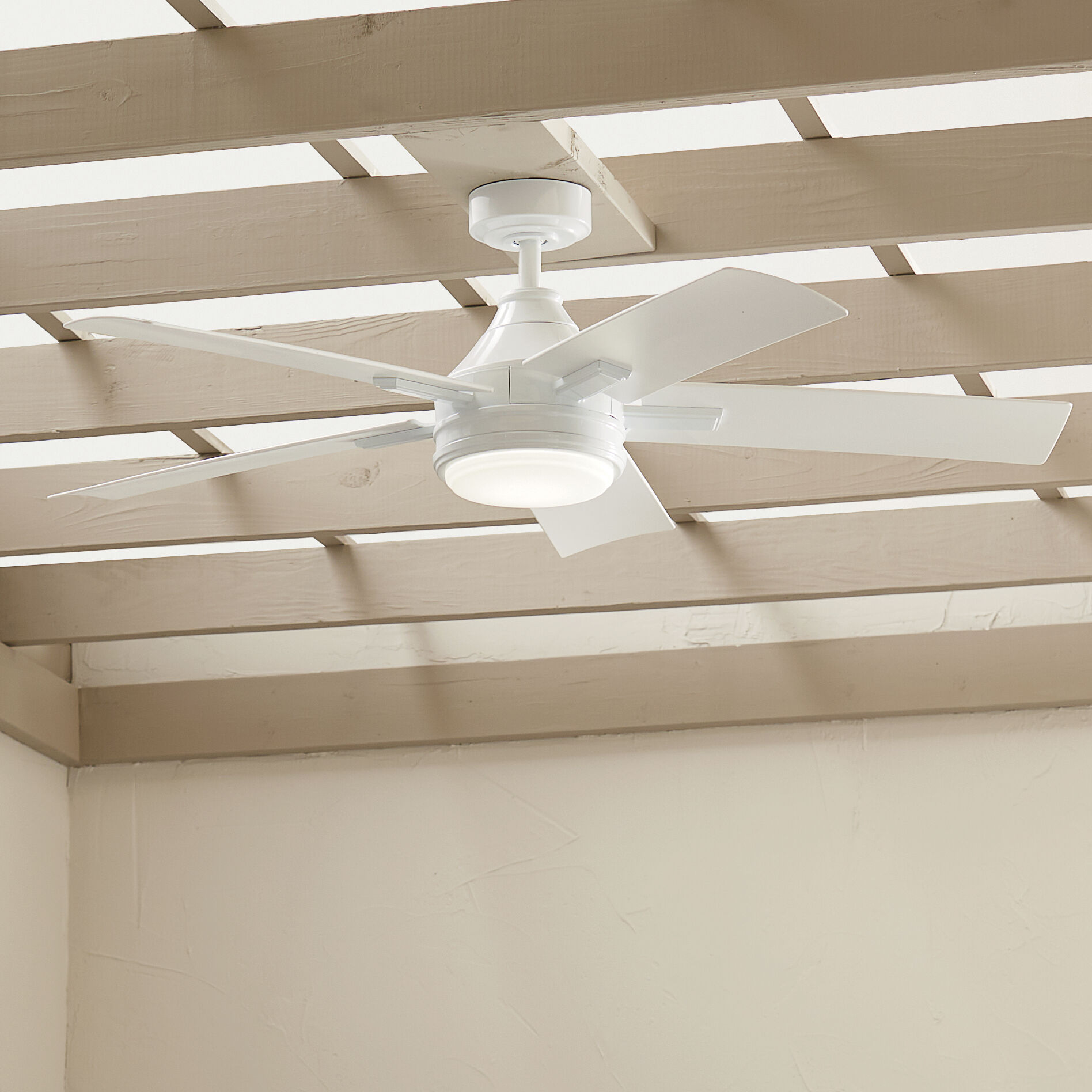 Tide 52 inch White Ceiling Fan