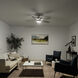 Renew Designer 52 inch Painted Brushed Nickel with Silver Blades Ceiling Fan