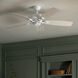Canfield Patio 52 inch White Ceiling Fan