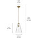 Everly 1 Light Natural Brass Pendant Ceiling Light in Clear
