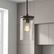 Crosby 1 Light 6 inch Olde Bronze Mini Pendant Ceiling Light