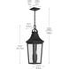 Cleary 2 Light 8.5 inch Textured Black Outdoor Pendant