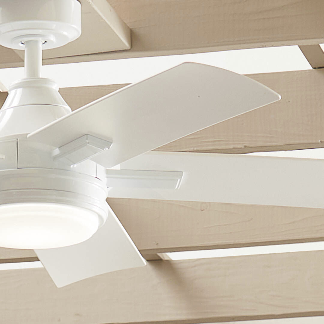 Tide 52 inch White Ceiling Fan