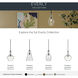 Everly 1 Light 11 inch Olde Bronze Pendant Ceiling Light in Clear Seeded