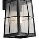 Tolerand 1 Light 18 inch Textured Black Outdoor Wall, Medium
