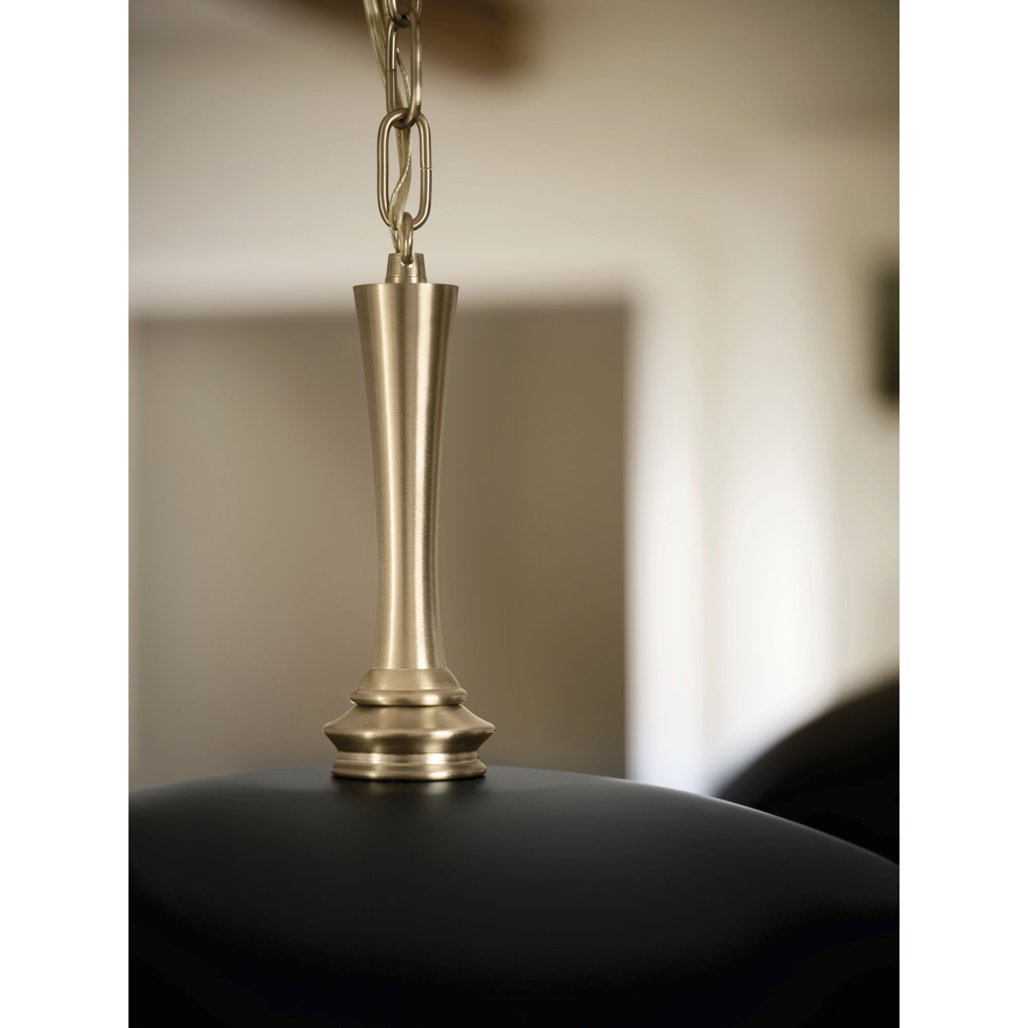 Delarosa 1 Light Black Pendant Ceiling Light