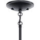Shailene 9 Light 26.5 inch Black Chandelier Ceiling Light
