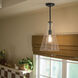 Everly 1 Light Black Pendant Ceiling Light in Clear Seeded