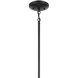 Shailene 5 Light Black Chandelier Ceiling Light