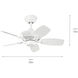 Canfield 30 inch White Ceiling Fan