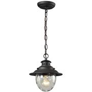 Outdoor Pendants / Chandeliers