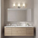 Joelson 3 Light 24 inch Brushed Nickel Wall Mt Bath 3 Arm Wall Light in Incandescent