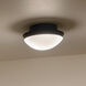 Bretta 2 Light 13.5 inch Black Flush Mount Ceiling Light