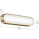 Daines LED 18.75 inch Champagne Bronze Bath Bar Wall Light