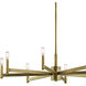 Erzo 8 Light 36 inch Natural Brass Chandelier 1 Tier Large Ceiling Light, 1 Tier Large