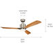 Ridley Ii 52 inch Brushed Stainless Steel with Medium Oak Blades Ceiling Fan